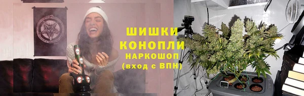 ГАЛЛЮЦИНОГЕННЫЕ ГРИБЫ Алексеевка